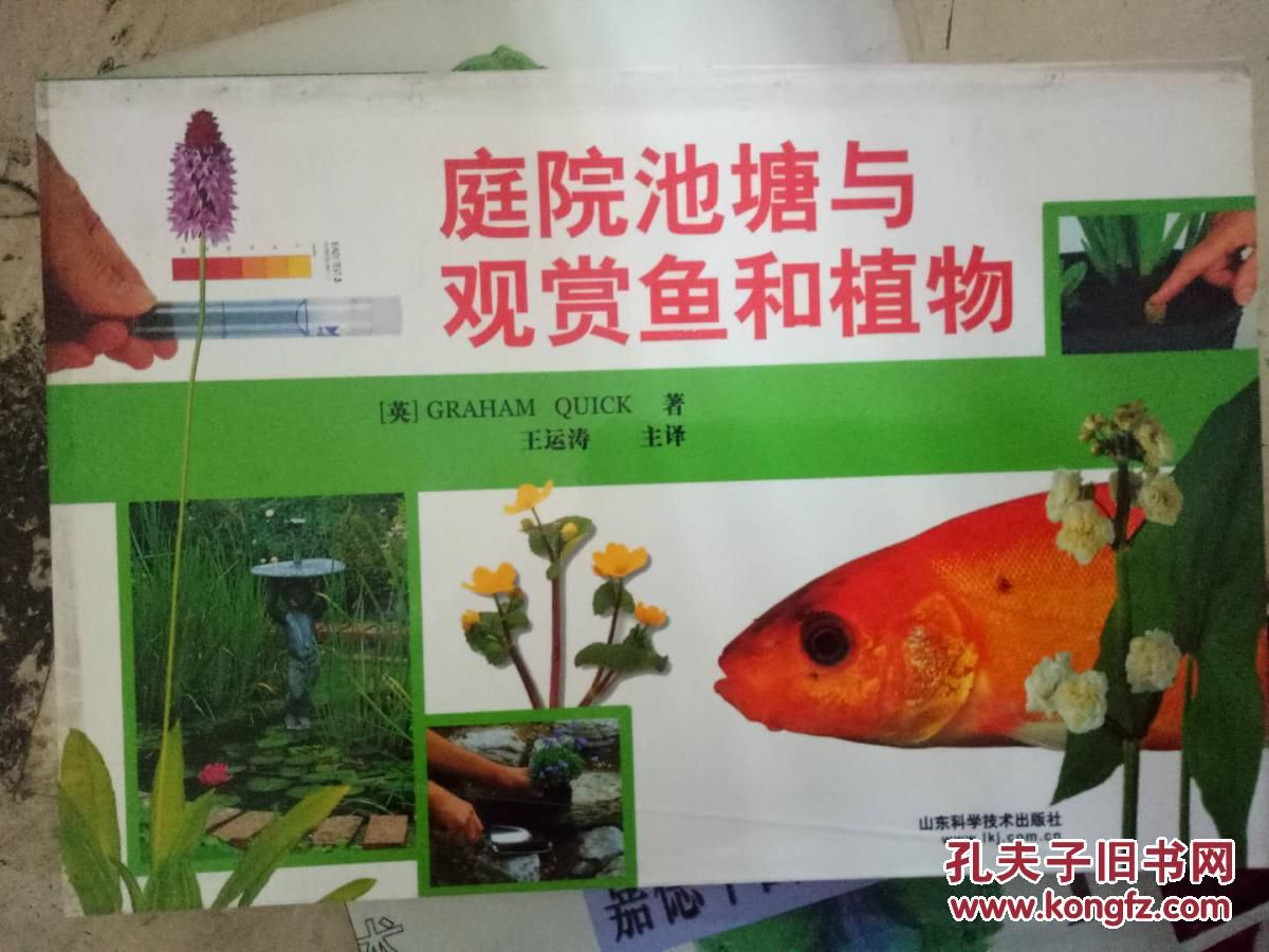 觀賞魚屬于動物嗎還是植物（觀賞魚屬于動物界，而不是植物界）