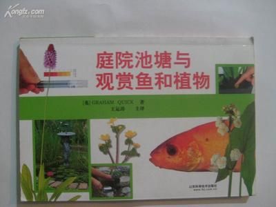 觀賞魚屬于動(dòng)物嗎還是植物（觀賞魚屬于動(dòng)物界，而不是植物界） 龍魚專用燈 第4張