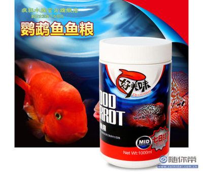 觀賞魚吃什么水草（觀賞魚吃水草的原因） 球鯊魚 第2張