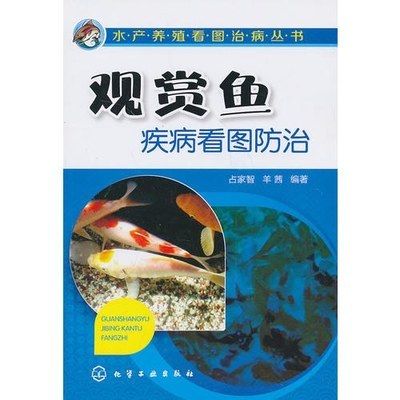 觀賞魚疾病看圖防治（觀賞魚疾病如何防治） 黃金達摩魚 第3張