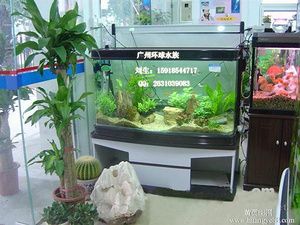 廣州海水觀賞魚廠家有哪些（廣州水族器材市場的現(xiàn)狀與未來隨著觀賞魚養(yǎng)殖業(yè)的發(fā)展） 其他水族品牌 第4張