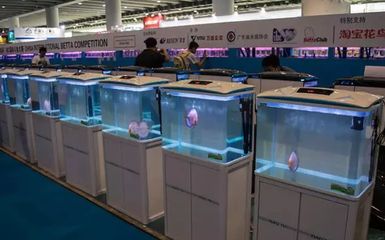 廣州國際觀賞魚及水族器材展覽會（廣州國際觀賞魚及展覽會）