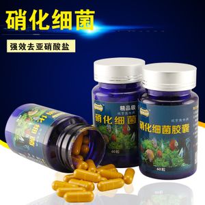 CHERLAM硝化細(xì)菌（cherlam七種菌硝化細(xì)菌） 海象魚 第4張