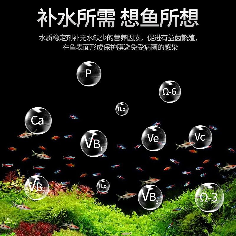 CHERLAM硝化細(xì)菌（cherlam七種菌硝化細(xì)菌） 海象魚 第2張