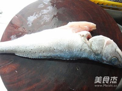 海鱸魚和淡水鱸魚的區(qū)別（海鱸魚與淡水鱸魚的區(qū)別） 白子球鯊魚 第3張