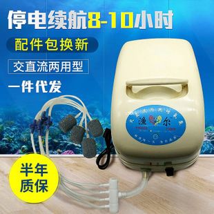 充氧機 養(yǎng)魚 氧氣泵（便攜式充電氧氣泵是一種便攜式氧氣泵的使用和特點） 南美異形觀賞魚 第2張