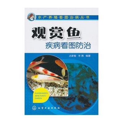 觀賞魚 基本知識(shí)（觀賞魚養(yǎng)殖基礎(chǔ)知識(shí)） 水族周邊 第1張