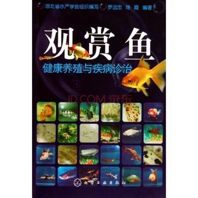 觀賞魚 基本知識(shí)（觀賞魚養(yǎng)殖基礎(chǔ)知識(shí)） 水族周邊 第2張