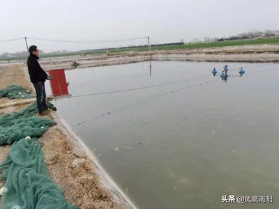 廣州觀賞魚養(yǎng)殖基地有哪些地方在建（關(guān)于廣州觀賞魚養(yǎng)殖基地在建的信息） 新加坡三巴旺 第1張