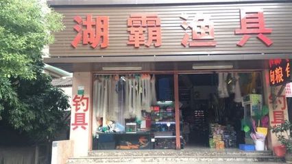 觀賞魚店鋪簡介范文（莒縣魚盟旺鋪觀賞魚店） 白化火箭魚 第1張