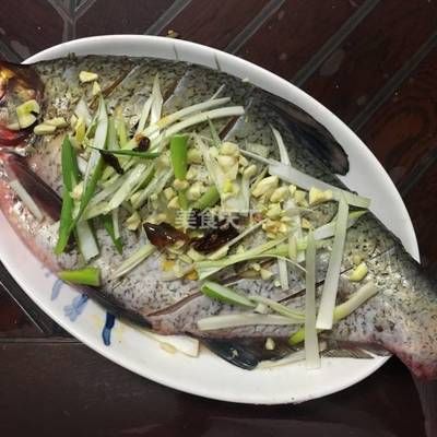 廣佛花魚之家怎么樣知乎推薦（廣佛花魚之家——廣州市花鳥魚蟲市場） 龍魚芯片掃碼器 第1張