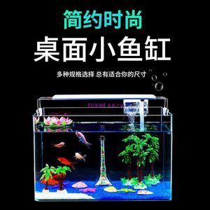 觀賞魚的店鋪名字怎么起（關于觀賞魚店鋪起名的建議） 觀賞魚飼料 第3張