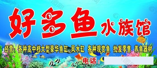 觀賞魚店門頭（關(guān)于觀賞魚店門頭的設(shè)計(jì)要點(diǎn)和注意事項(xiàng)和注意事項(xiàng)） 撒旦鴨嘴魚 第1張