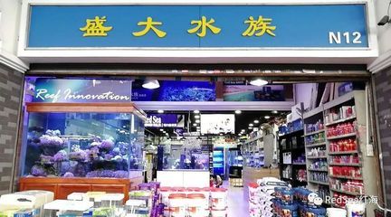 觀賞魚店門頭（關(guān)于觀賞魚店門頭的設(shè)計(jì)要點(diǎn)和注意事項(xiàng)和注意事項(xiàng)） 撒旦鴨嘴魚 第2張