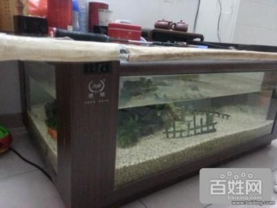 廣州金魚缸回收（在廣州想要回收金魚缸） 觀賞魚飼料 第1張