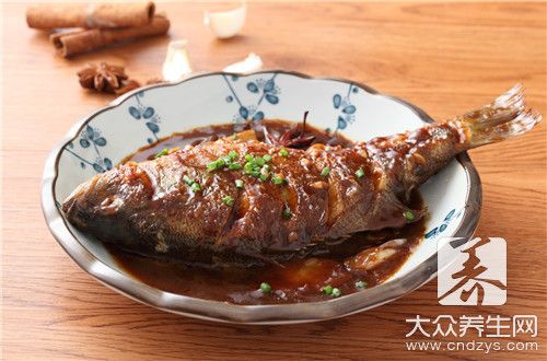 觀賞魚小鯊魚吃什么（觀賞魚小鯊魚的飲食習(xí)慣） 玫瑰銀版魚 第4張