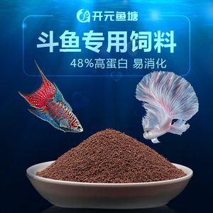 斗魚喂什么飼料（斗魚的飼料選擇建議） 巴卡雷龍魚 第4張