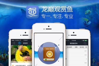 觀賞魚app有哪些（與觀賞魚app相關(guān)的推薦：與觀賞魚app相關(guān)的推薦） 馬來西亞咖啡 第1張