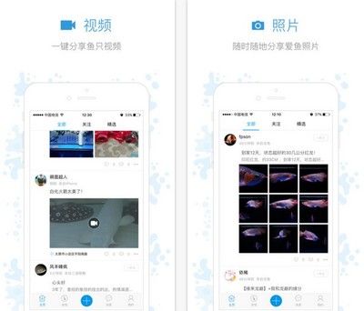 觀賞魚app有哪些（與觀賞魚app相關(guān)的推薦：與觀賞魚app相關(guān)的推薦） 馬來西亞咖啡 第2張