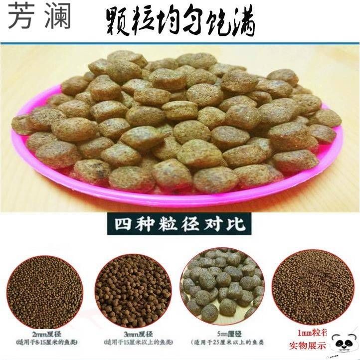 觀賞魚飼料釣魚好用嗎（觀賞魚飼料是否適用于釣魚取決于飼料的種類和觀賞魚） 武吉美拉金龍魚 第3張