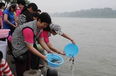 放生魚苗（放生魚苗的意義與誤區(qū)） 黃金夢幻雷龍魚 第4張