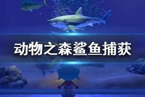 動森釣鯊魚（《動物森友會》動森釣魚技巧大揭秘動森釣魚技巧大揭秘） 三間鼠魚苗 第1張