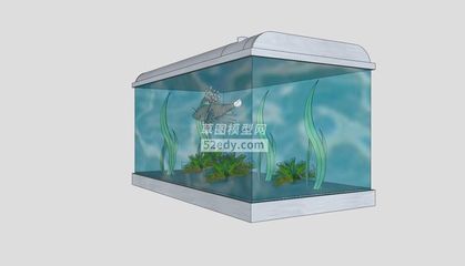 玻璃金魚缸是什么意思啊視頻（什么是玻璃金魚缸） 豬鼻龜 第3張