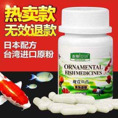 觀賞魚白點病用什么藥最好（如何治療觀賞魚白點?。? title=