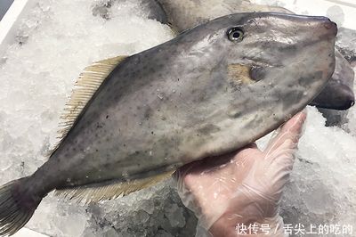 白鯧魚和金鯧魚哪個好（如何去除白鯧魚和金鯧魚的腥味？） 祥龍水族護理水 第4張