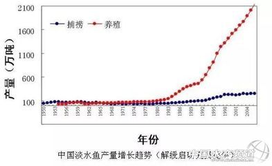 淡水魚最貴的是什么魚（中國十大名貴魚類）