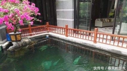 觀賞魚池養(yǎng)魚技巧和方法（《觀賞魚養(yǎng)殖技術(shù)》養(yǎng)觀賞魚的技巧和方法和技巧和方法） 賽級紅龍魚 第2張