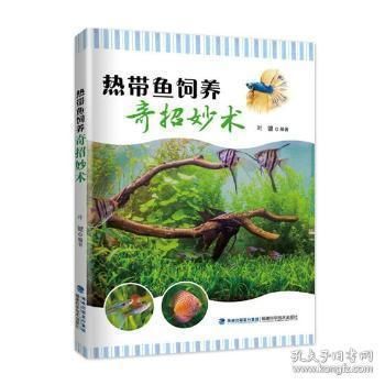 觀賞魚類有哪些（常見的觀賞魚類） 白子銀版魚苗 第4張