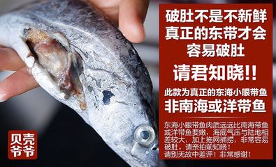 刀魚(yú)是海鮮還是河魚(yú) 其他益生菌 第2張