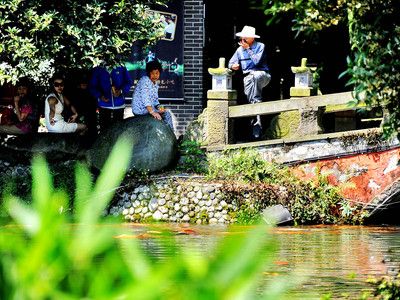 都江堰觀賞魚市場價格（都江堰市觀賞魚市場價格） 非洲象鼻魚 第1張