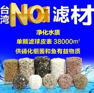 NO1硝化細(xì)菌（硝化細(xì)菌是一類專性好氧的細(xì)菌） 硝化細(xì)菌 第2張