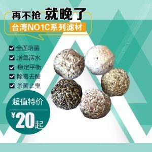 NO1硝化細(xì)菌（硝化細(xì)菌是一類專性好氧的細(xì)菌） 硝化細(xì)菌 第4張