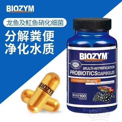 probiotics硝化細(xì)菌膠囊（硝化細(xì)菌膠囊的作用和使用方法）