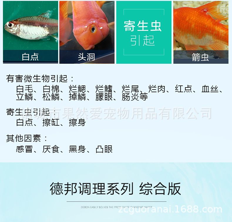 金龍魚云南總代理電話是多少（關(guān)于金龍魚云南總代理的問題） 水族問答 第3張