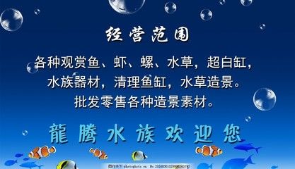 觀賞魚公司經(jīng)營范圍有哪些（上海萬金觀賞魚養(yǎng)殖有限公司） 祥龍水族護(hù)理水 第1張