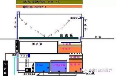 底濾濾材擺放順序（底濾與上濾的區(qū)別與優(yōu)勢）