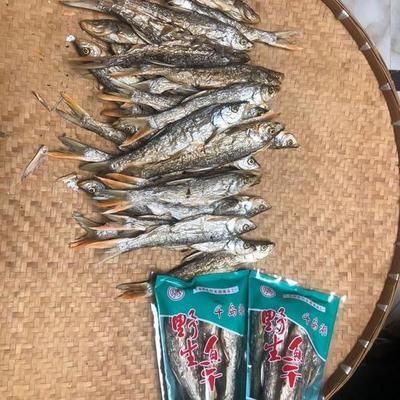 紅尾魚怎么釣用什么餌料（垂釣紅尾魚的具體方法和餌料選擇） 貝因美 第3張