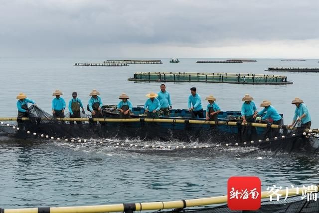 海南海水觀賞魚(yú)養(yǎng)殖技術(shù)（海水觀賞魚(yú)養(yǎng)殖技術(shù)） 帝王三間魚(yú) 第3張