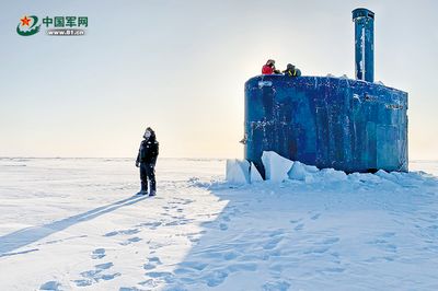 北極冰水泵怎么樣（北極冰品牌怎么樣北極冰品牌介紹） 馬拉莫寶石魚 第4張