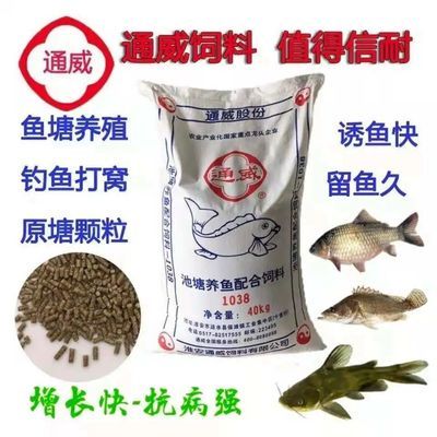 國內(nèi)觀賞魚飼料廠家（國內(nèi)觀賞魚飼料廠家眾多） 小型觀賞魚 第2張