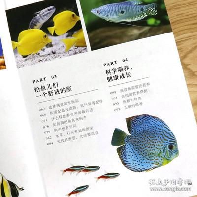 觀賞魚養(yǎng)魚知識點(diǎn)（關(guān)于觀賞魚養(yǎng)魚知識點(diǎn)的一些詳細(xì)解釋和介紹） 觀賞龜/鱉飼料 第4張