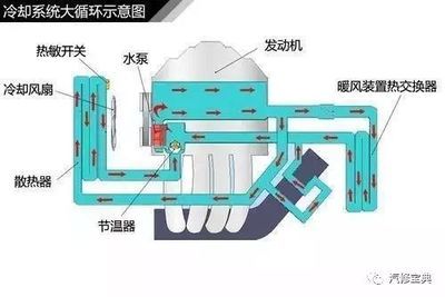 大循環(huán)水怎么做（大循環(huán)水的制作方法） 大正錦鯉魚 第1張