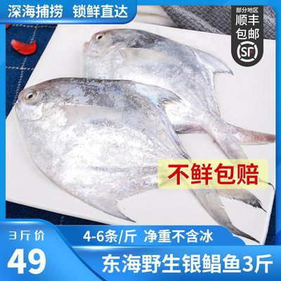 白鯧魚（白鯧魚的處理方法）