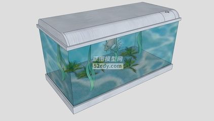 玻璃金魚缸做法（如何自制玻璃金魚缸）