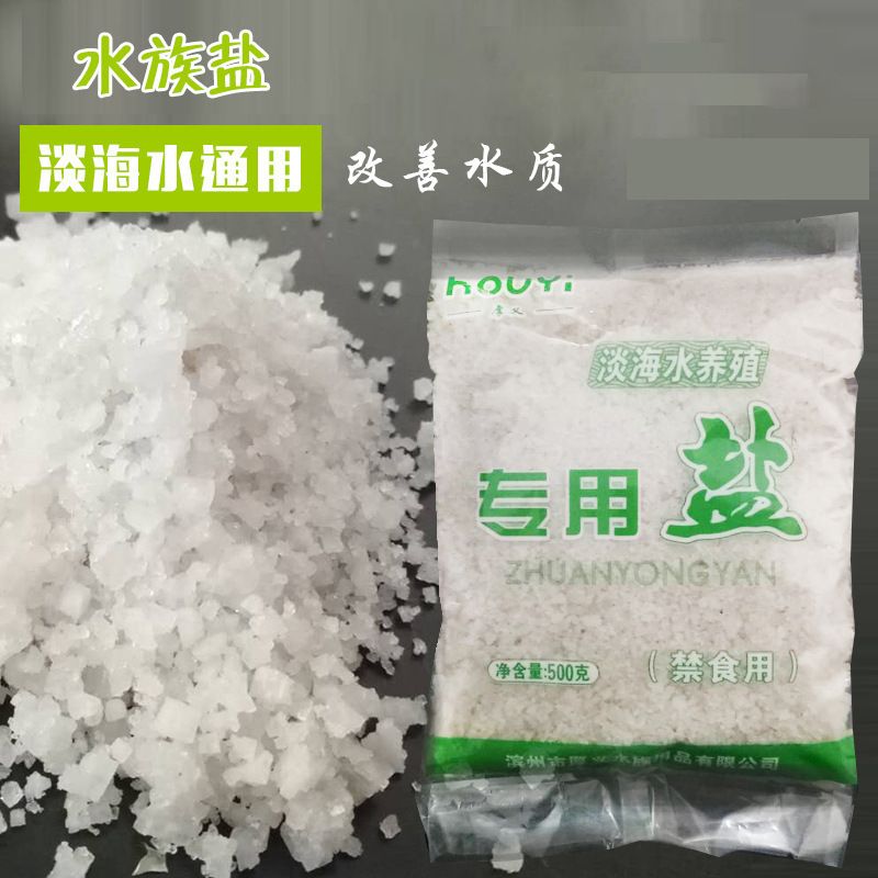 觀賞魚專用鹽和食用鹽（觀賞魚專用鹽與食用鹽的區(qū)別） 金老虎魚 第3張