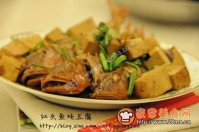 紅頭魚燉豆腐（紅頭魚燉豆腐的營(yíng)養(yǎng)價(jià)值） 魚缸清潔用具 第3張